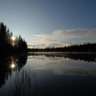 Tall Timbers Resort
