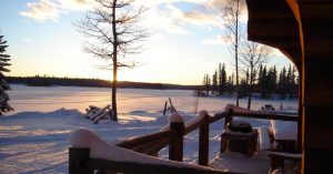 DSC00117.jpg Winter photo from the front of a cabin at Loon Bay Resort on Sheridan Lake