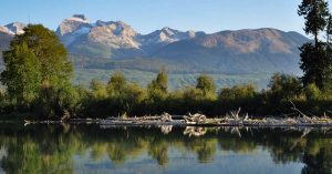 Ecotours - 1