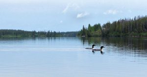 Nimpo Lake REsort - 2