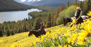wildflowers.JPG